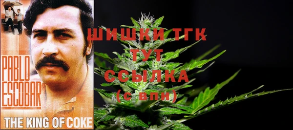 соль ск Лабытнанги
