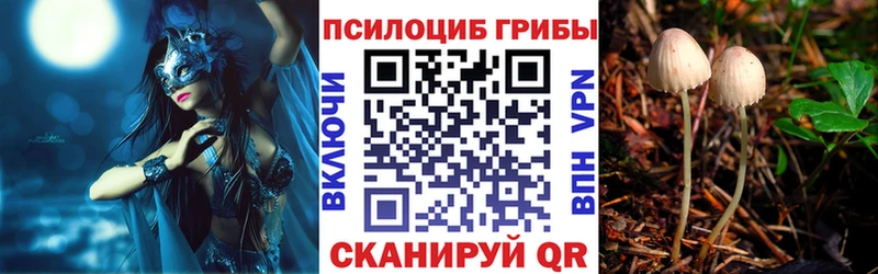 Галлюциногенные грибы прущие грибы  Сибай 