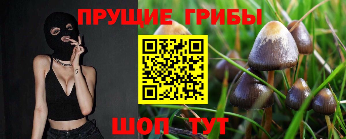 Галлюциногенные грибы MAGIC MUSHROOMS Сибай