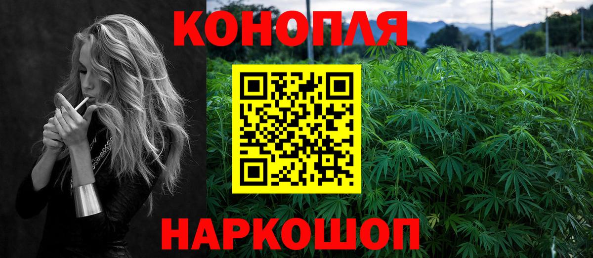 Бошки Шишки ГИДРОПОН  Марихуана план  Каннабис тримм  Сибай  Вход с VPN  Конопля OG Kush 